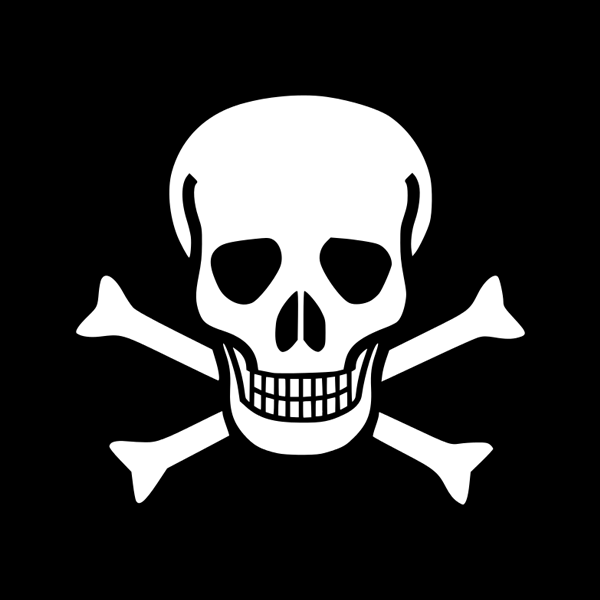 white skull and bones on black DioArt 1/35 Jolly Roger 8 Double-sided Flags